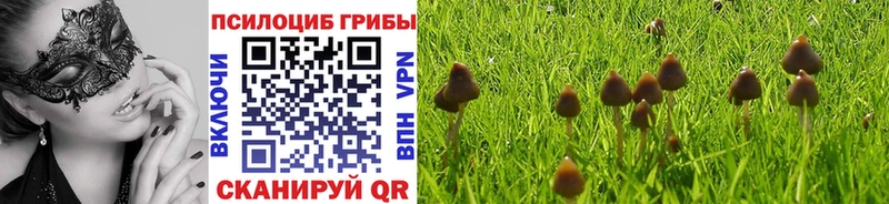 Псилоцибиновые грибы Magic Shrooms хочу наркоту Химки